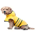Pet Raincoat